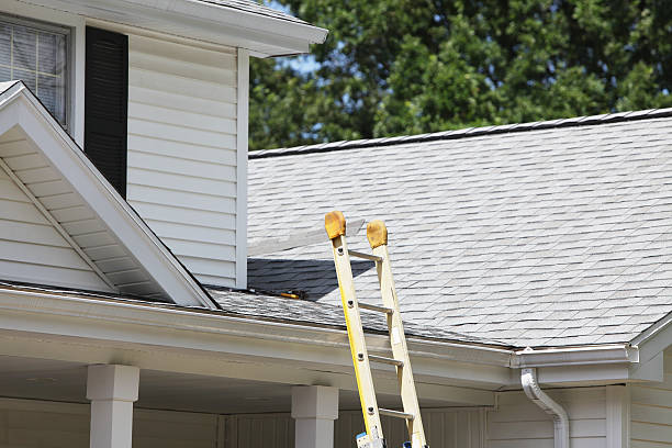 Best Shed Removal  in Owingsville, KY